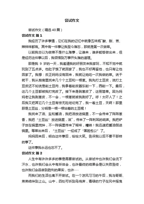 尝试作文（精选40篇）