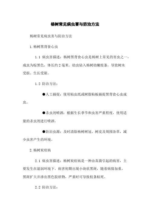 杨树常见病虫害与防治方法