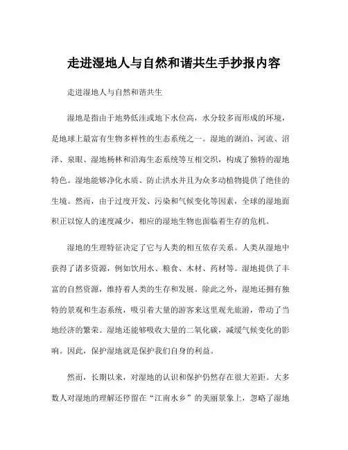 走进湿地人与自然和谐共生手抄报内容