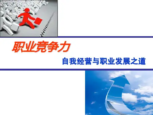 职业精神(倪砥)