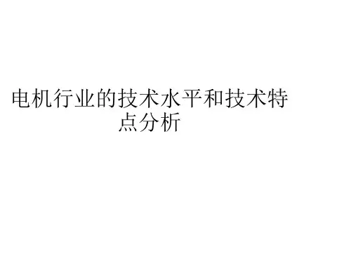 电机行业的技术水平和技术特点分析
