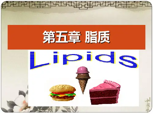 食品化学第五章脂质