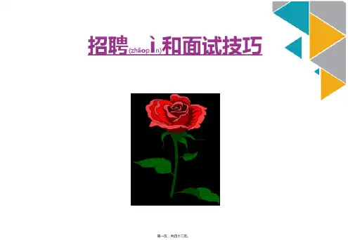 企业招聘渠道的管理流程(ppt版)