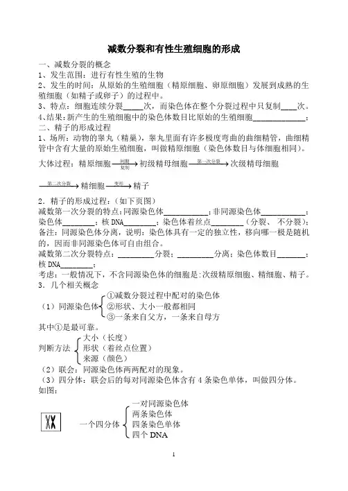 减数分裂和有性生殖细胞的形成