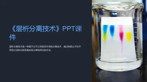 《层析分离技术》课件