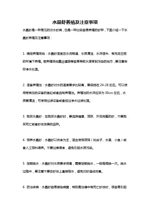 水晶虾养殖及注意事项