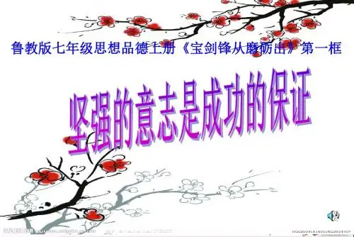 坚强的意志是成功的保证ppt优秀课件 鲁教版