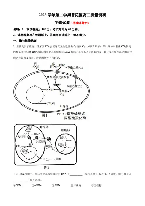上海市普陀区2023届高三下学期二模试题 生物含答案