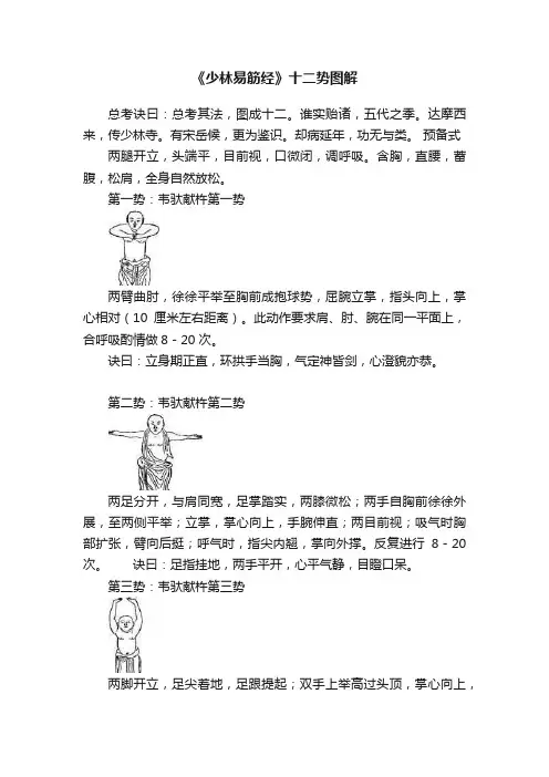 《少林易筋经》十二势图解