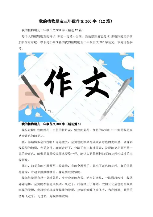 我的植物朋友三年级作文300字(12篇)