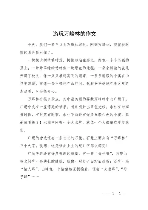 游玩万峰林的作文