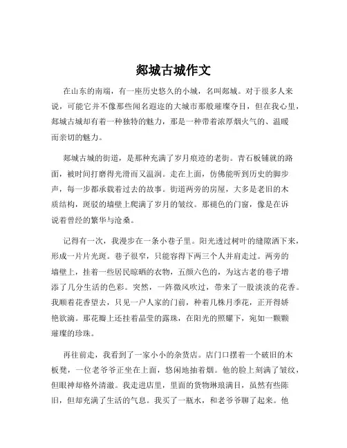 郯城古城作文