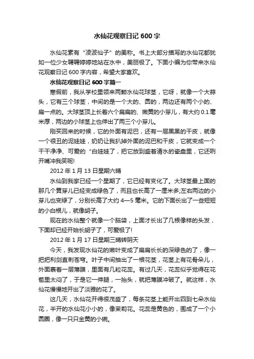 水仙花观察日记600字