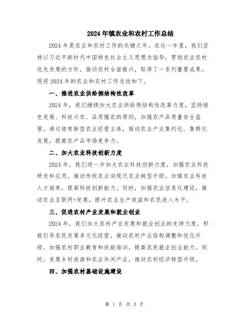 2024年镇农业和农村工作总结