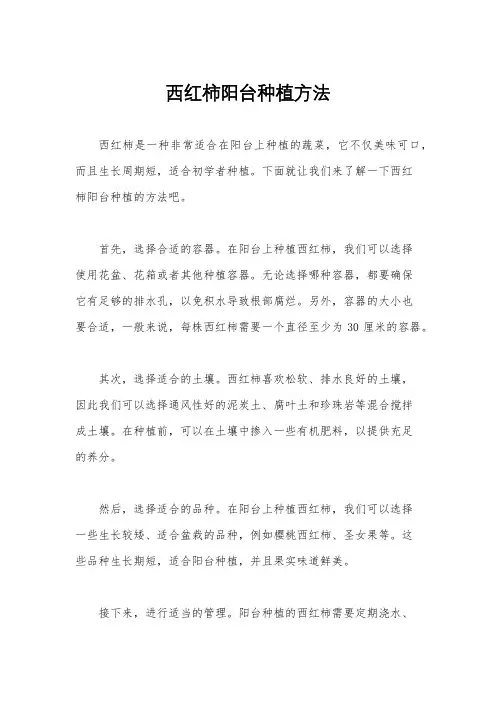 西红柿阳台种植方法