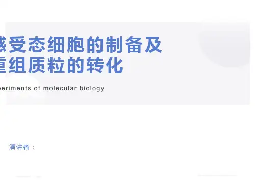 感受态细胞的制备及重组质粒的转化