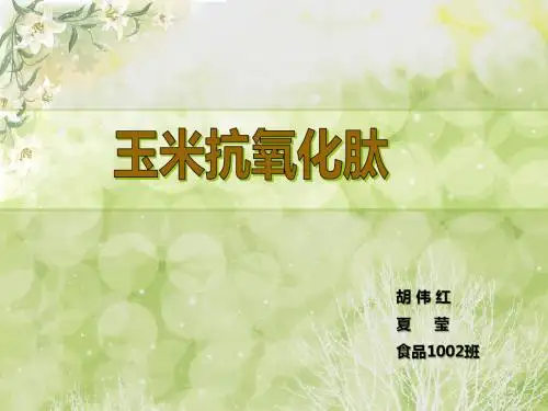 玉米抗氧化肽