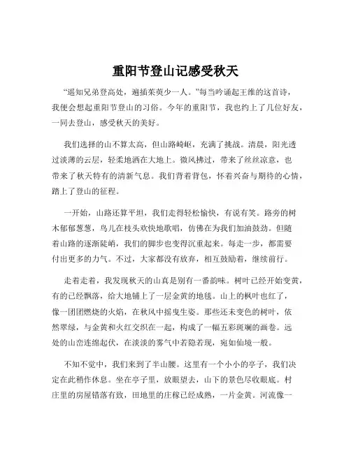 重阳节登山记感受秋天