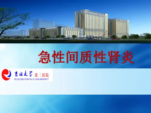 急性间质性肾炎