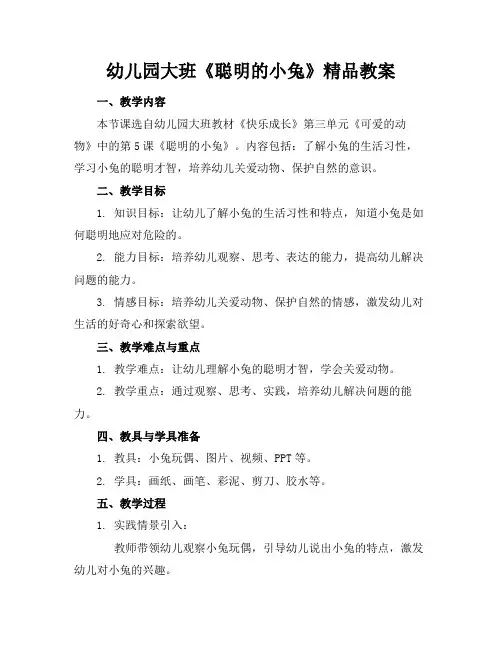 幼儿园大班《聪明的小兔》精品教案