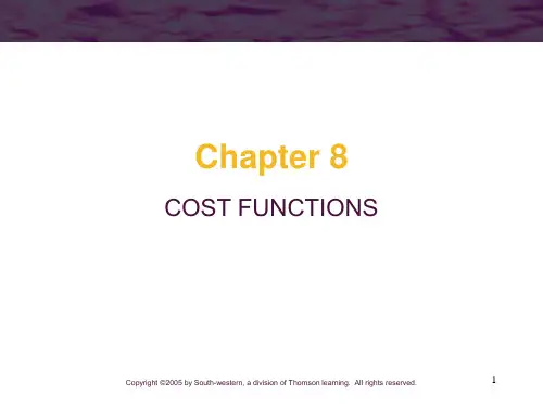 COST FUNCTIONS(成本函数)尼科尔森中级微观ppt
