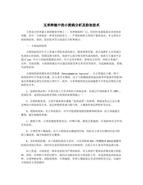 玉米种植中的小斑病分析及防治技术