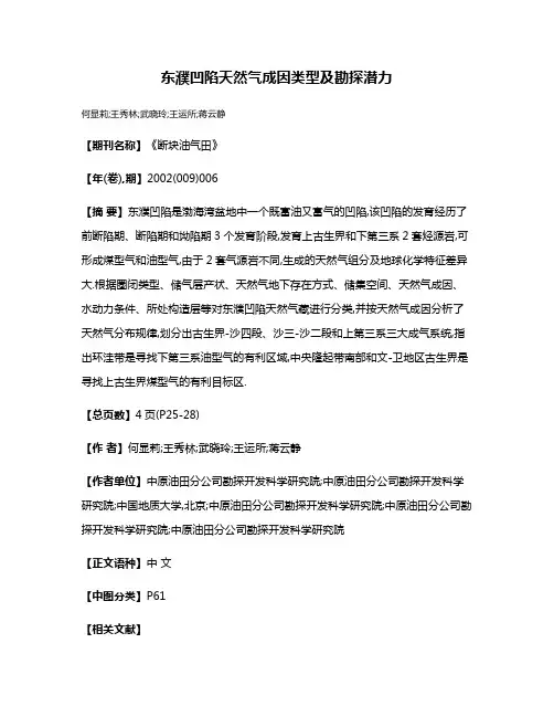 东濮凹陷天然气成因类型及勘探潜力