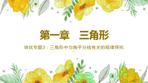 培优专题3：三角形中与角平分线有关的规律探究