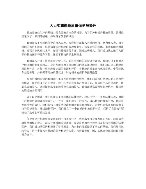 大力实施耕地质量保护与提升