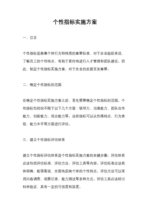 个性指标实施方案