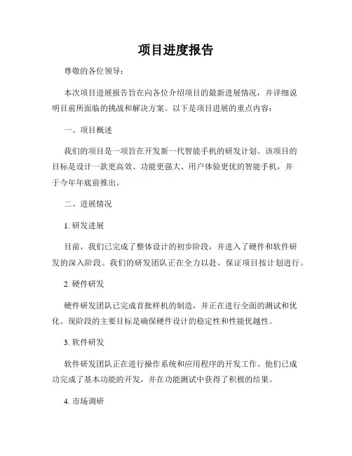 项目进度报告
