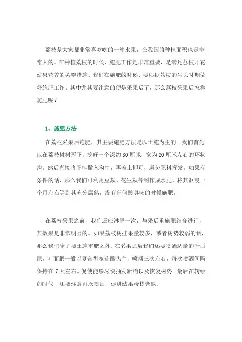 荔枝采果后怎样施肥？
