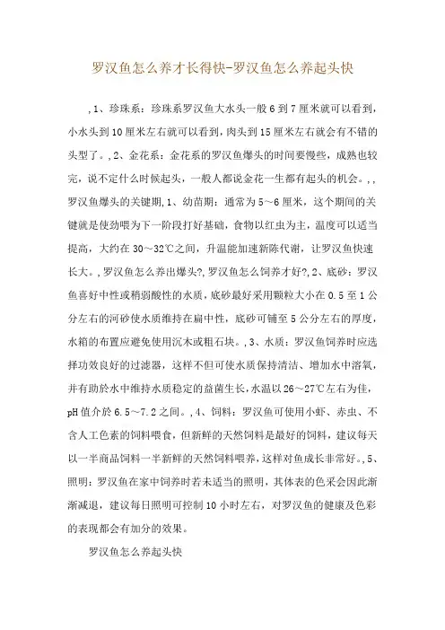 罗汉鱼怎么养才长得快-罗汉鱼怎么养起头快