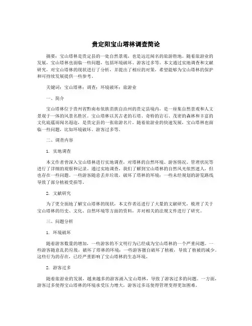 贵定阳宝山塔林调查简论