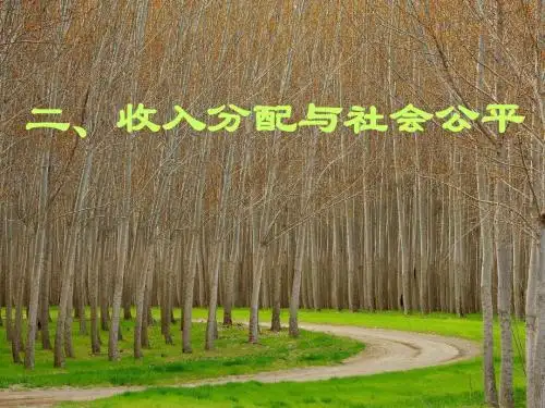 人教版必修1第七课第二框收入分配与社会公平(共15张PPT)
