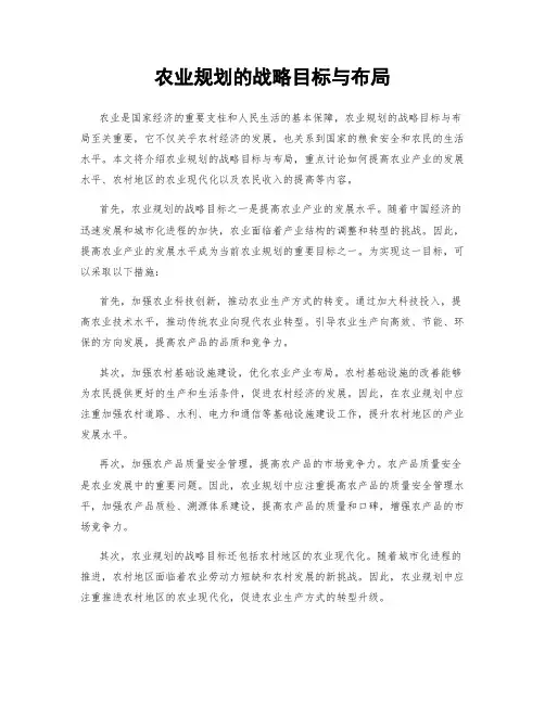 农业规划的战略目标与布局