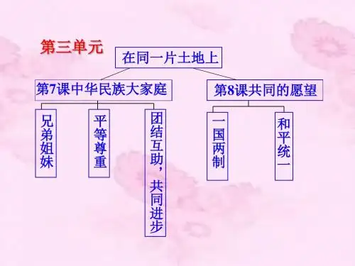 《中华民族大家庭》