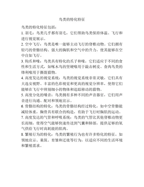 鸟类的特化特征