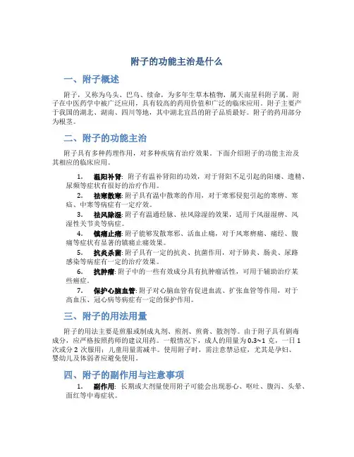 附子的功能主治是什么