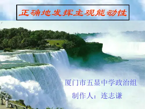 高二政治正确地发挥主观能动性1(新编201911)