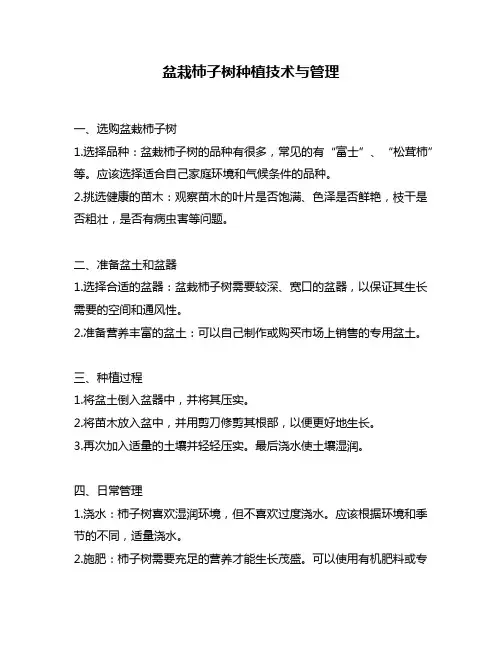 盆栽柿子树种植技术与管理