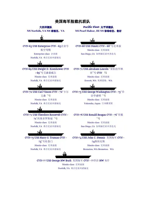 美国海军航母舰载机联队各连队战斗配置及徽章标志