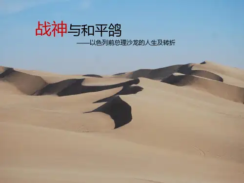 沙龙ppt