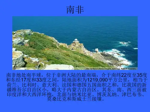 南非简介-南非木