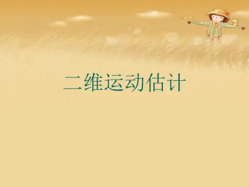 二维运动估计