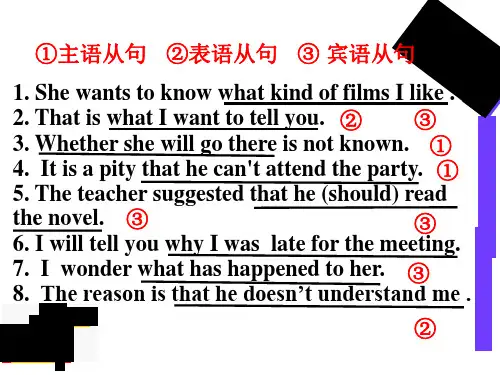 同位语从句课件ppt