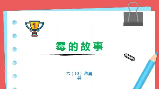 霉的知识PPT课件