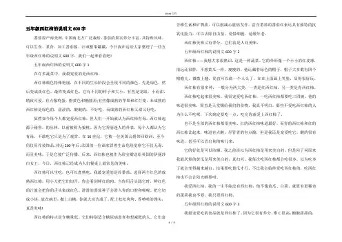 五年级西红柿的说明文600字