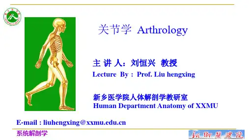 关节学PPT课件