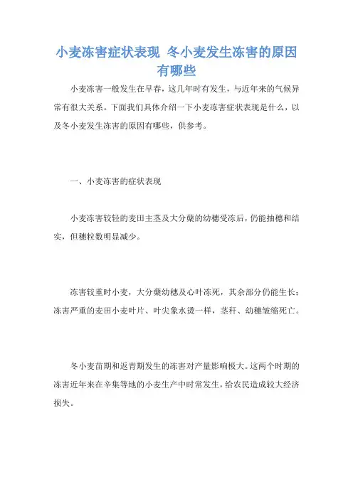小麦冻害症状表现 冬小麦发生冻害的原因有哪些